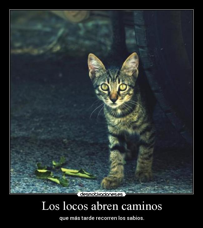 Los locos abren caminos -