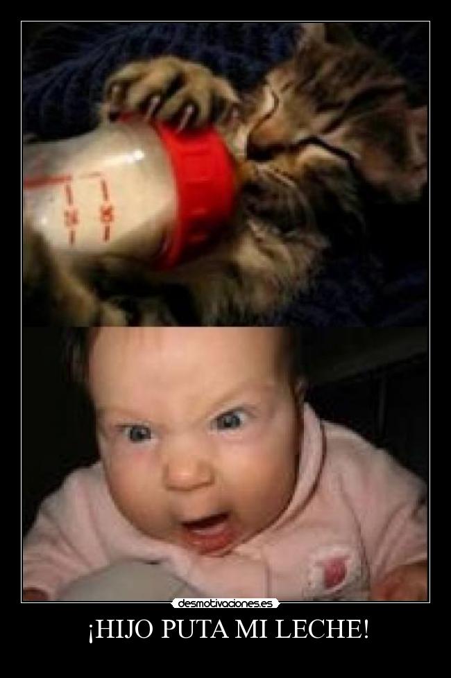 ¡HIJO PUTA MI LECHE! -