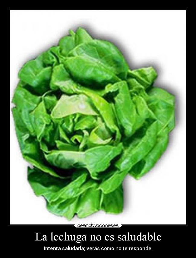 La lechuga no es saludable - Intenta saludarla; verás como no te responde.