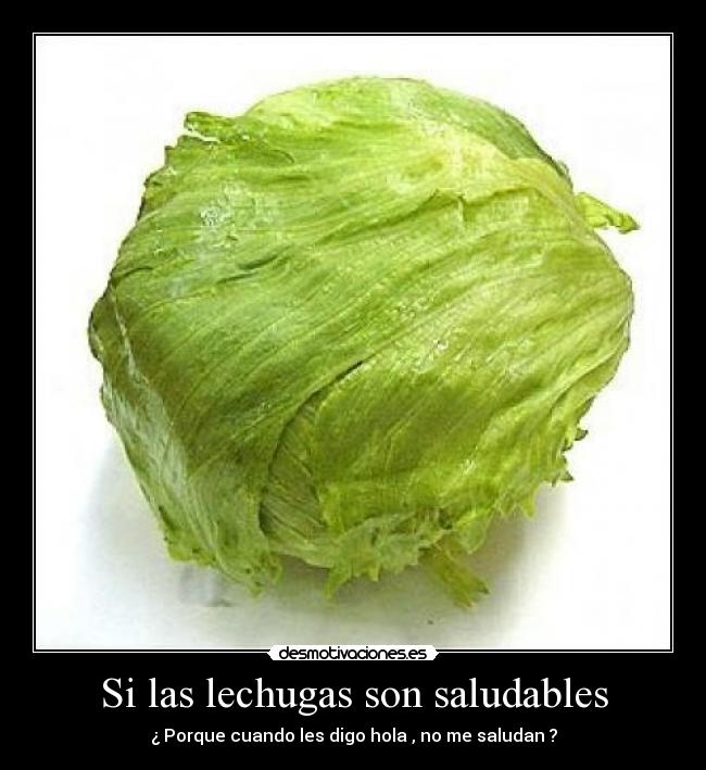 Si las lechugas son saludables - ¿ Porque cuando les digo hola , no me saludan ?