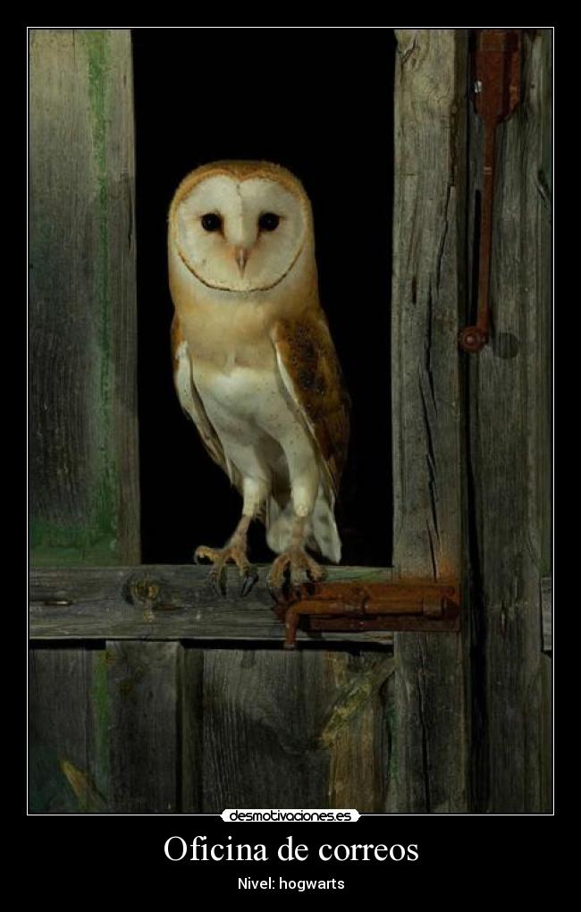 Oficina de correos - Nivel: hogwarts