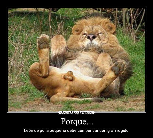 Porque... - 