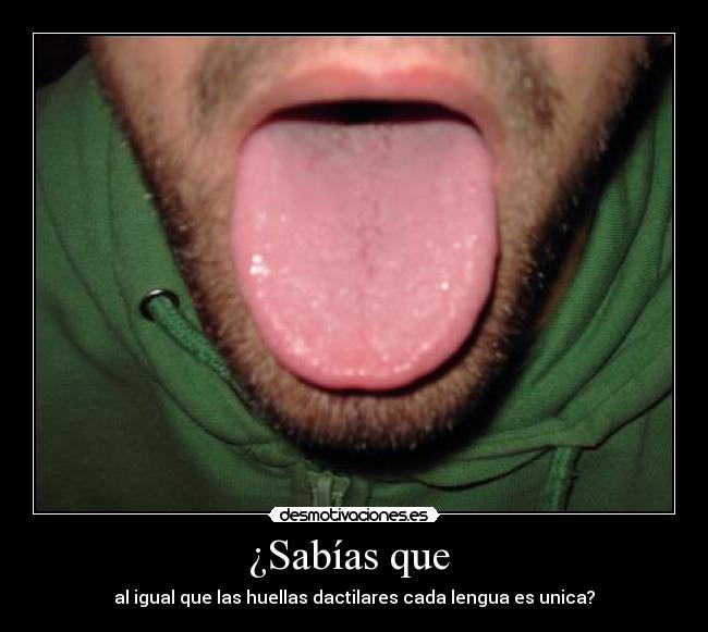 ¿Sabías que  - al igual que las huellas dactilares cada lengua es unica?