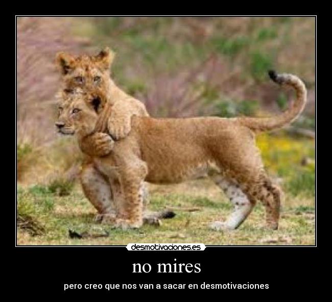 no mires - pero creo que nos van a sacar en desmotivaciones