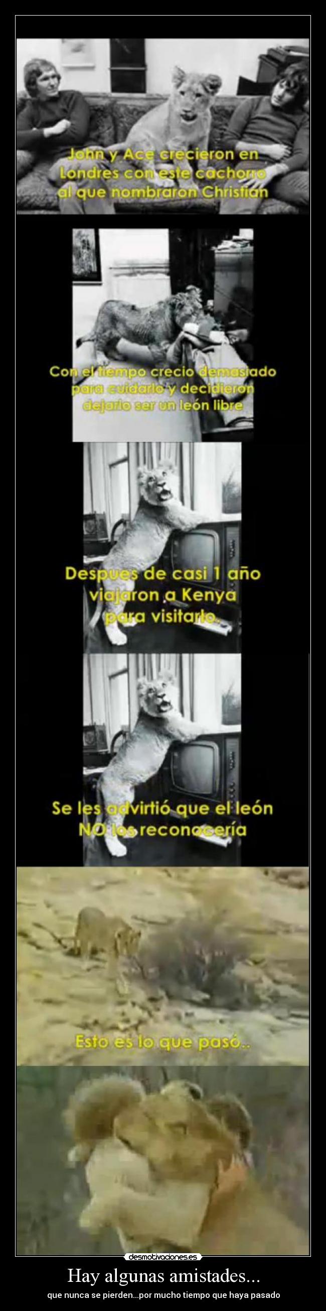 Hay algunas amistades... -