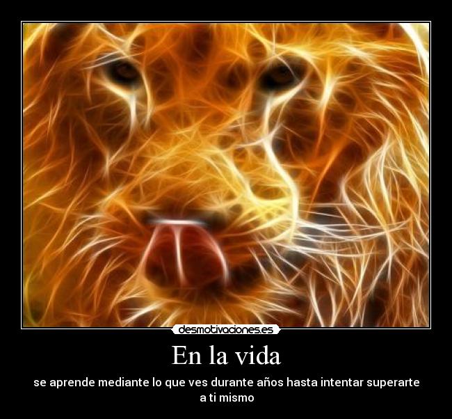 im-genes-y-carteles-de-dfgsd-desmotivaciones