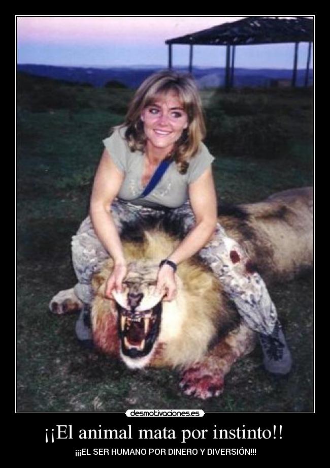¡¡El animal mata por instinto!! -