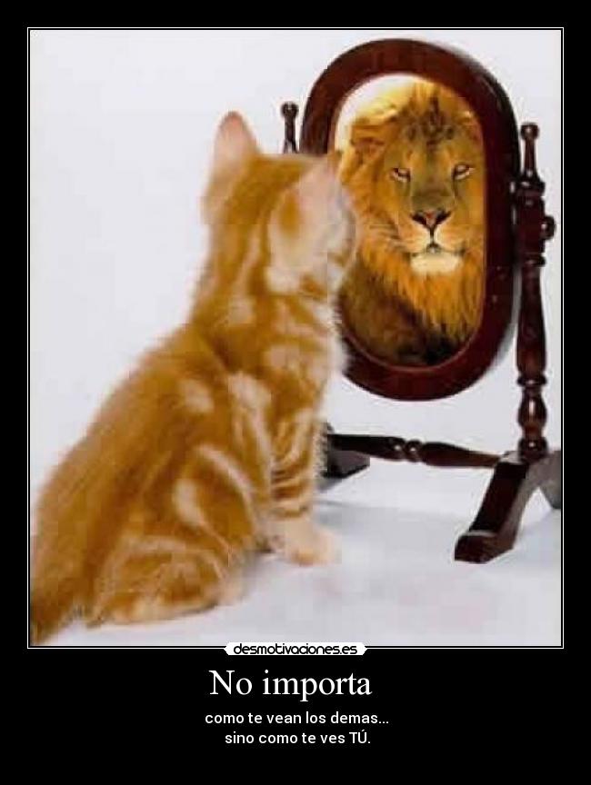 carteles eddy douckalii desmotivaciones