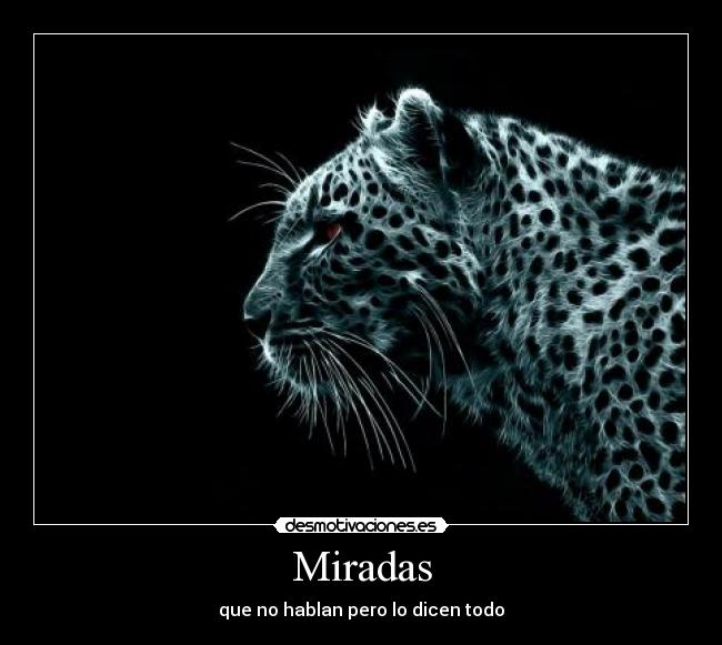 Miradas -