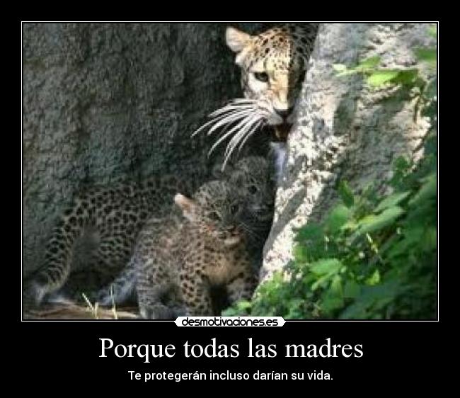Porque todas las madres -