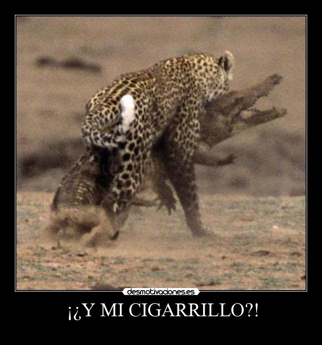 ¡¿Y MI CIGARRILLO?! - 