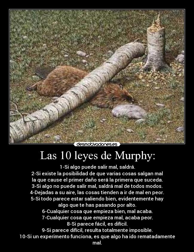 Las 10 leyes de Murphy: -