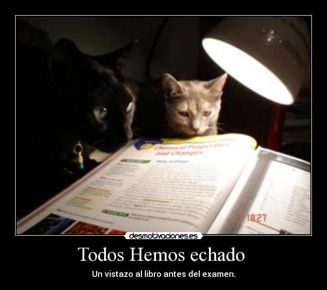 carteles todos hemos echado desmotivaciones