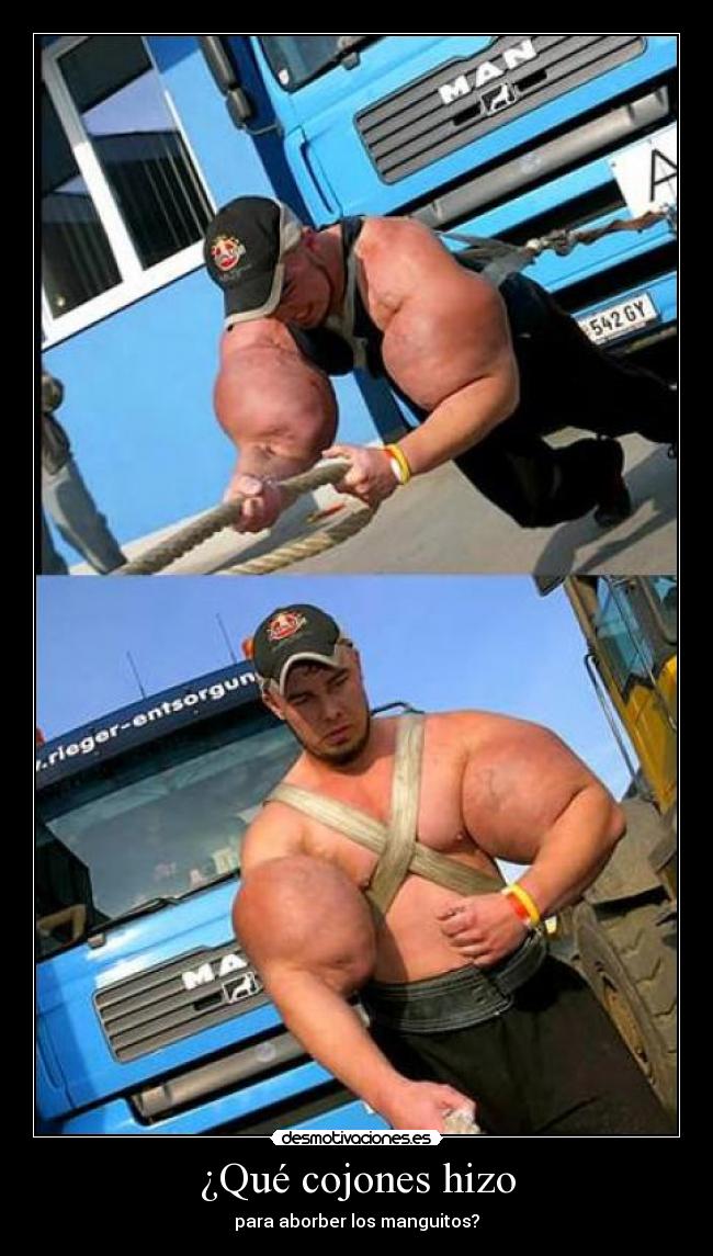 ¿Qué cojones hizo -