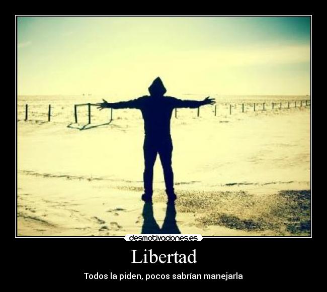carteles libertad libertad desmotivaciones