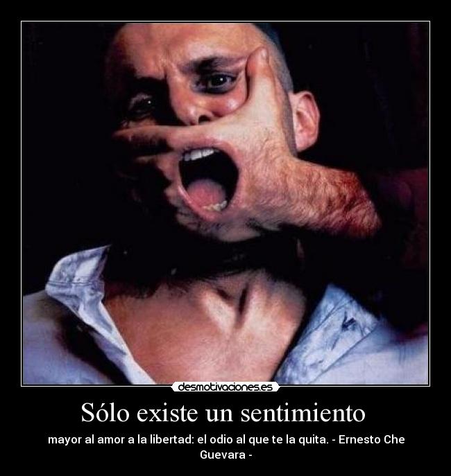 Sólo existe un sentimiento - mayor al amor a la libertad: el odio al que te la quita. - Ernesto Che Guevara -