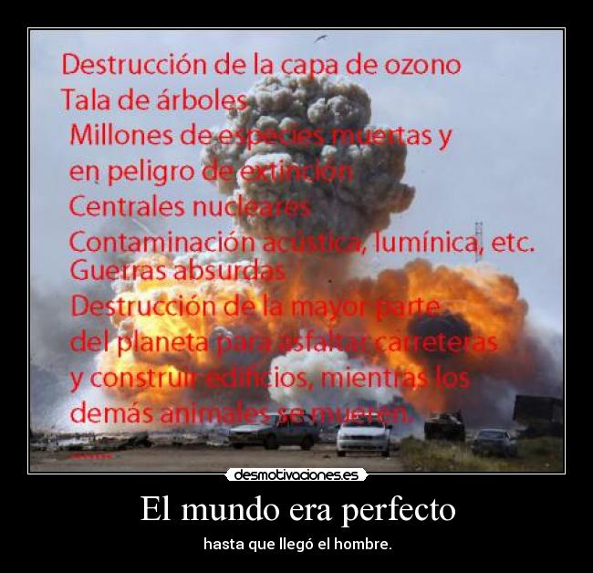 El mundo era perfecto -