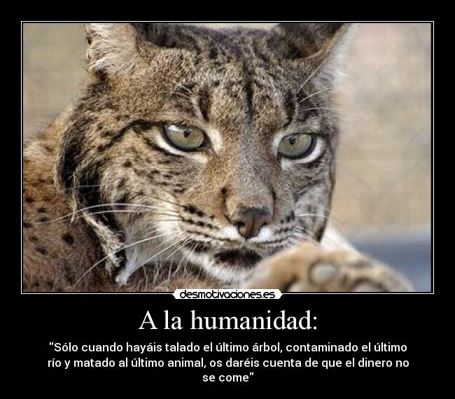 A la humanidad: -