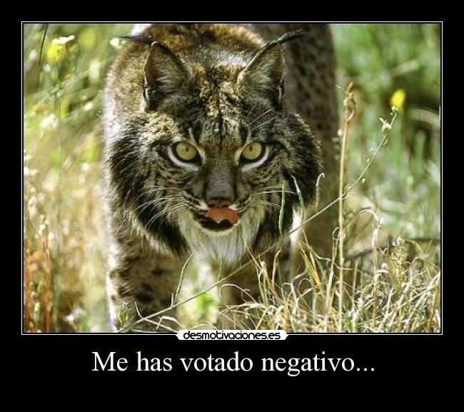 Me has votado negativo... -