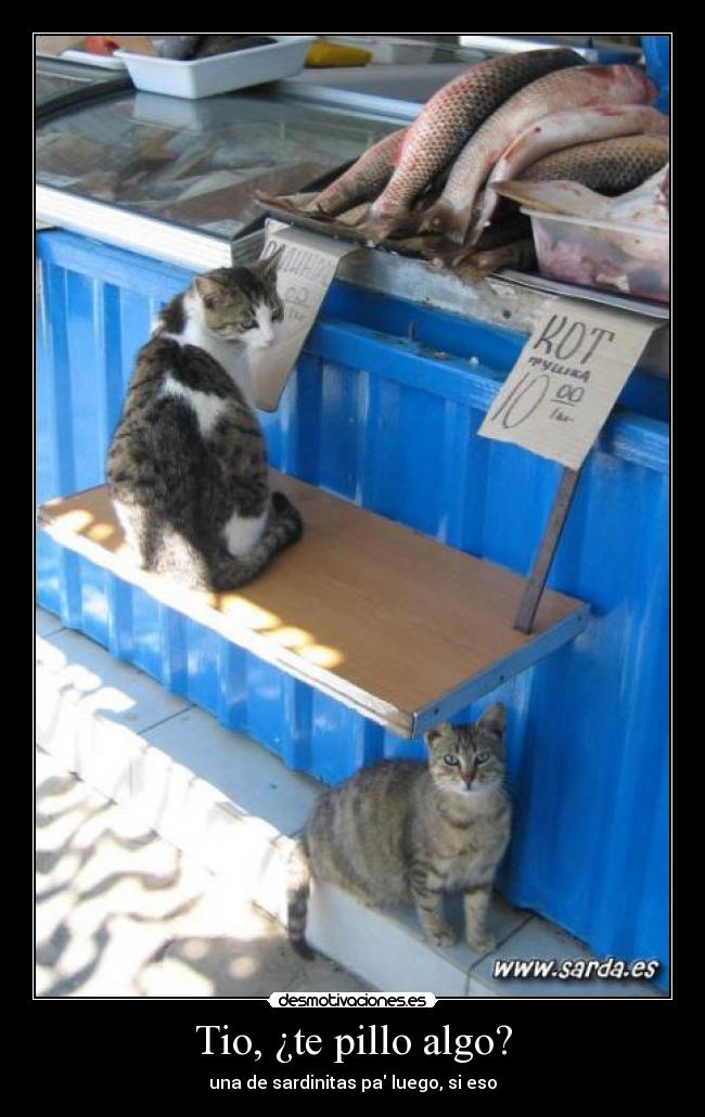 Tio, ¿te pillo algo? -