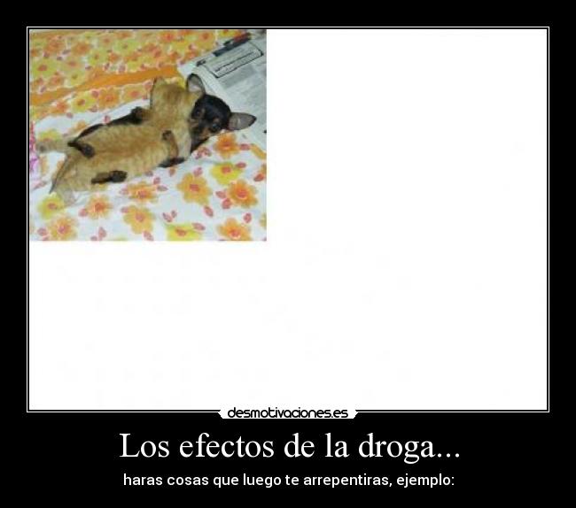 Los efectos de la droga... -