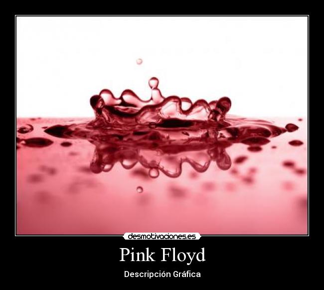 Pink Floyd - Descripción Gráfica