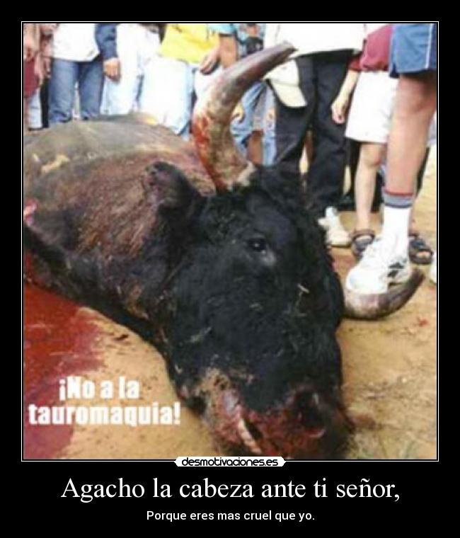 Agacho la cabeza ante ti señor, - 