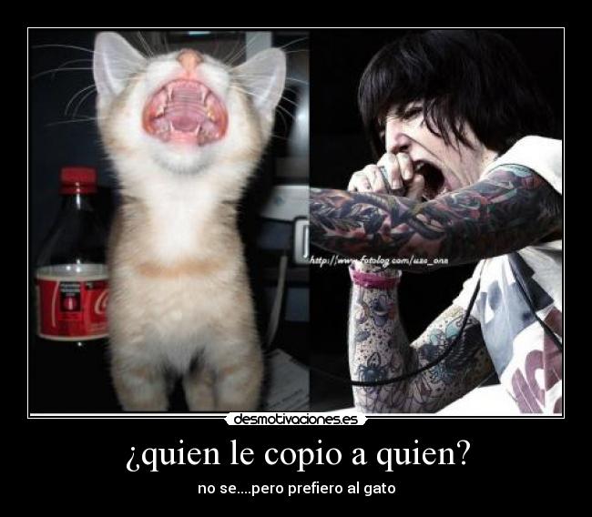 ¿quien le copio a quien? - no se....pero prefiero al gato