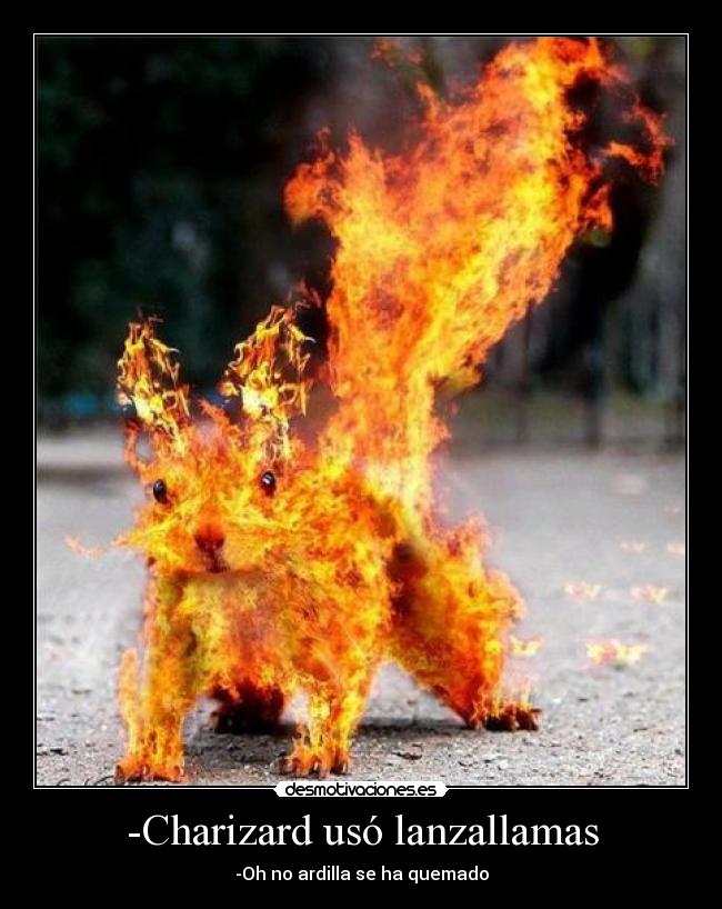 -Charizard usó lanzallamas - -Oh no ardilla se ha quemado