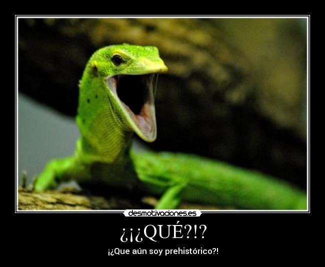 ¿¡¿QUÉ?!? - ¡¿Que aún soy prehistórico?!