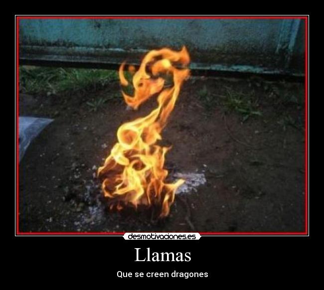 Llamas - Que se creen dragones