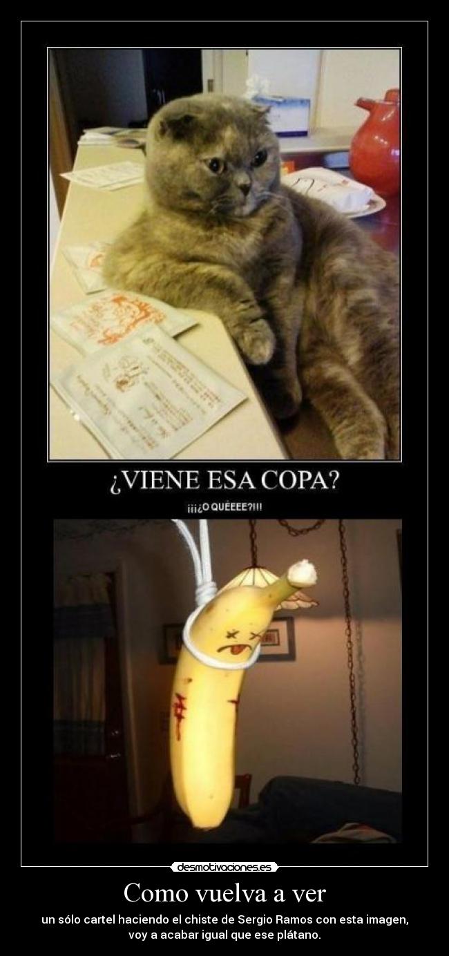 Como vuelva a ver - un sólo cartel haciendo el chiste de Sergio Ramos con esta imagen,
voy a acabar igual que ese plátano.