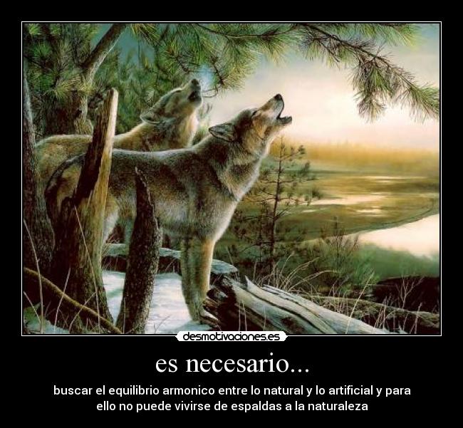 carteles zcxv desmotivaciones