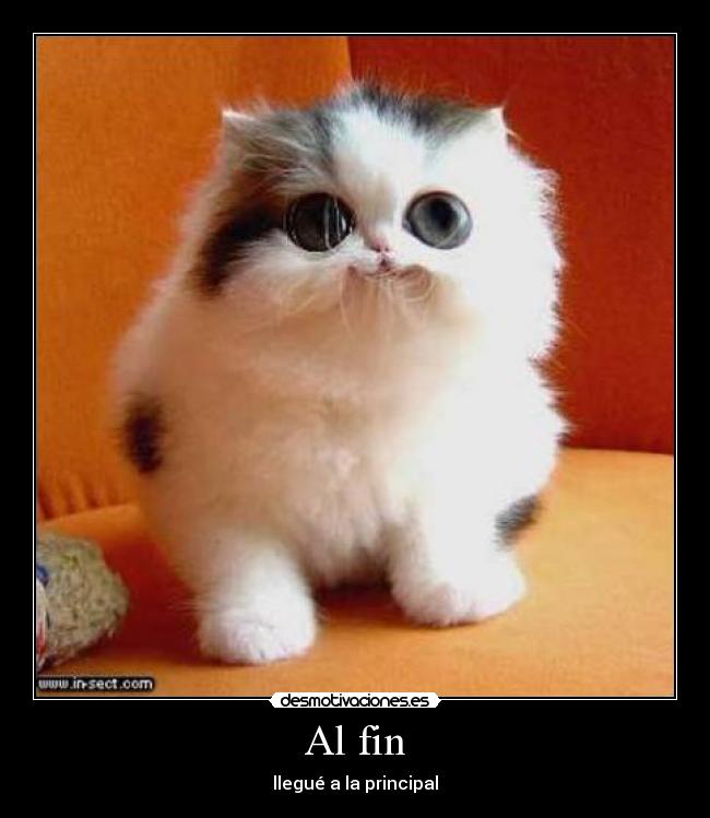Al fin - llegué a la principal