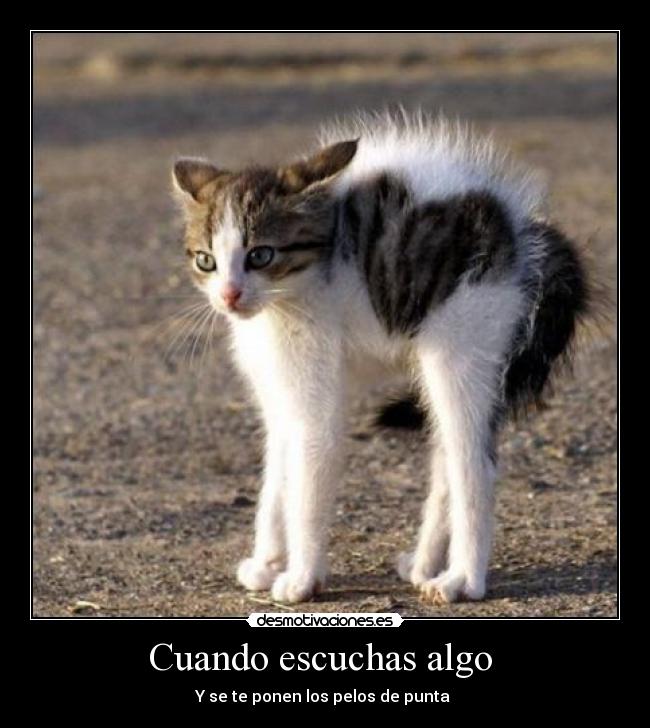 carteles escuchas desmotivaciones