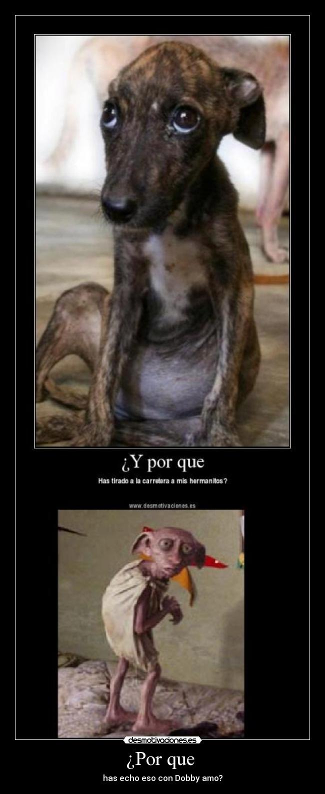 ¿Por que - has echo eso con Dobby amo?