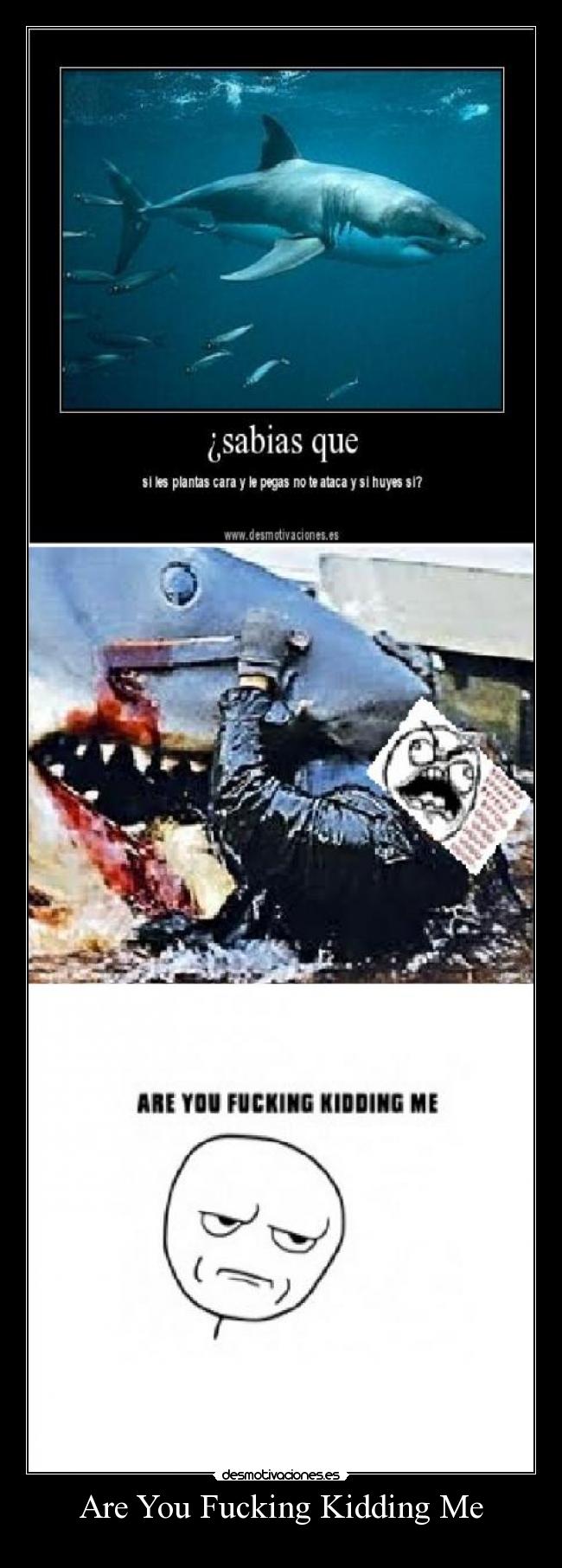 Are You Fucking Kidding Me -