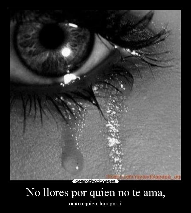 No llores por quien no te ama, - ama a quien llora por ti.