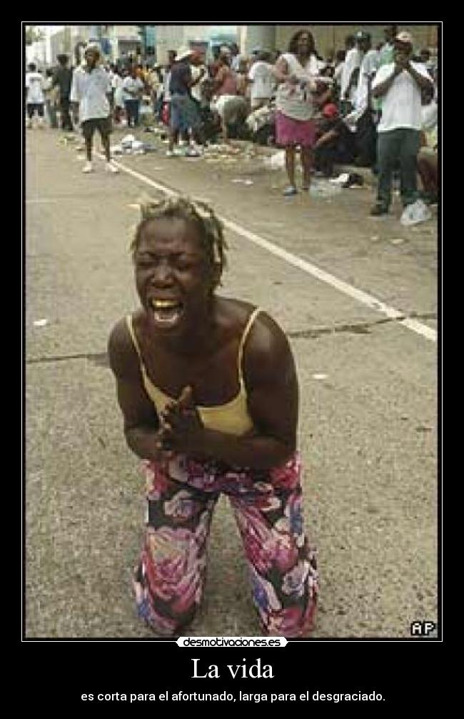 carteles vida desmotivaciones desmotivaciones