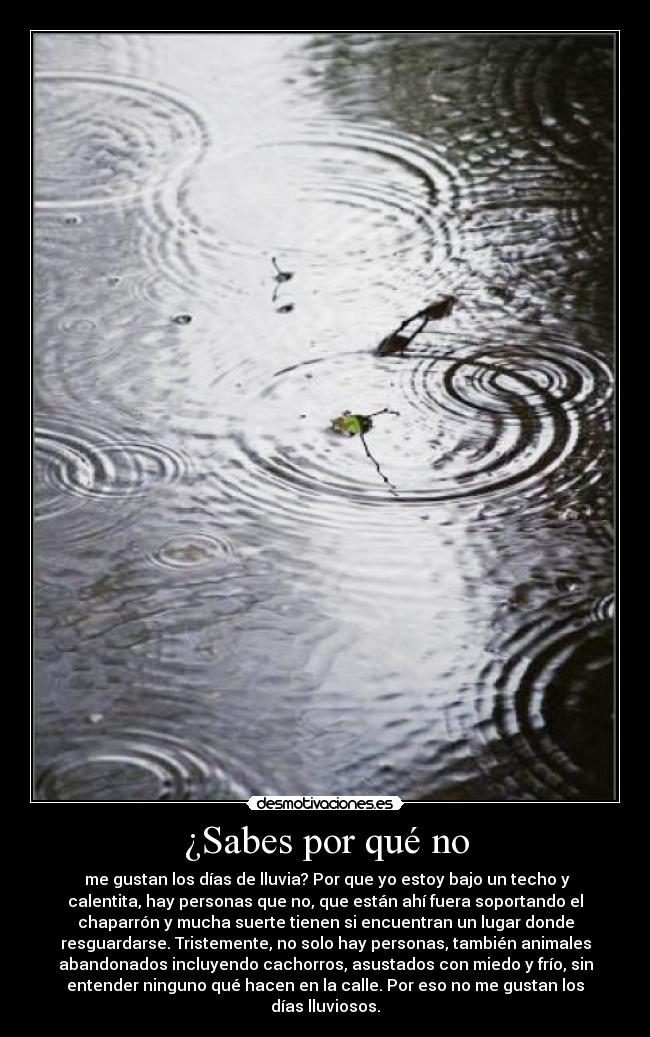 ¿Sabes por qué no -