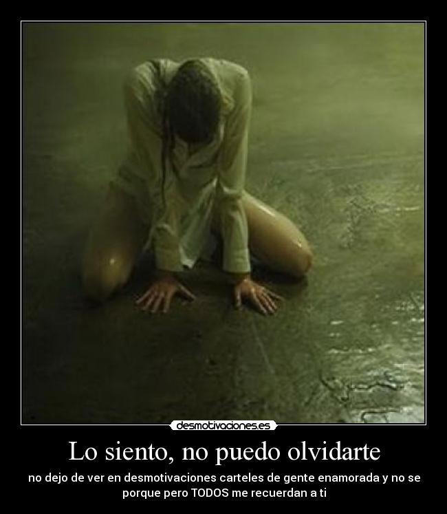Lo siento, no puedo olvidarte -