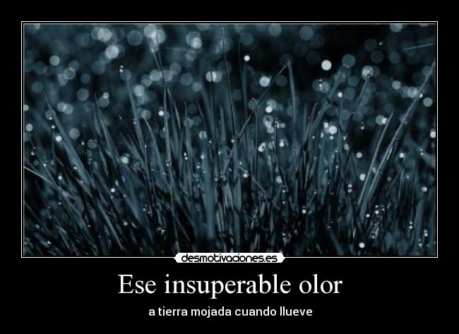 carteles lluvia tierra mojada olor desmotivaciones