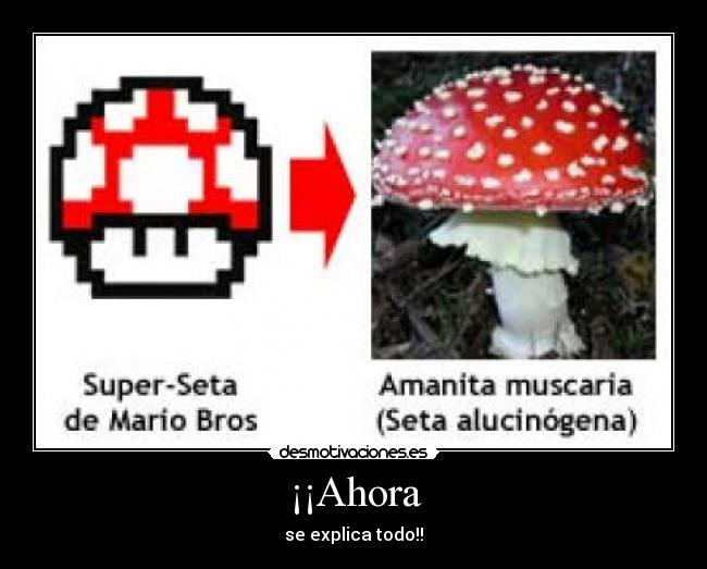 ¡¡Ahora - se explica todo!!