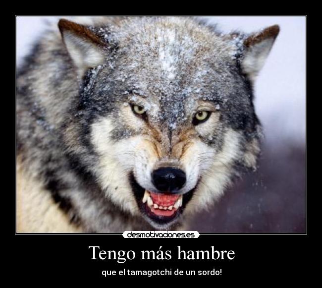 Tengo más hambre - 