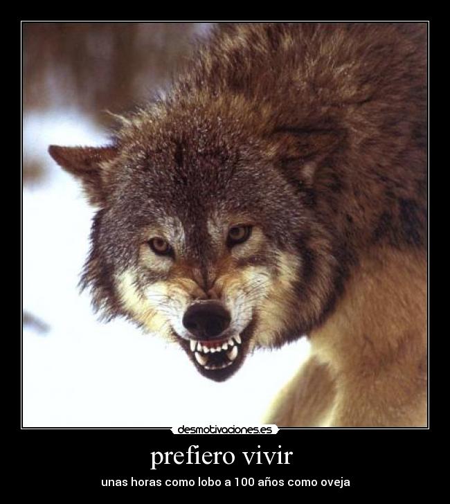 prefiero vivir -