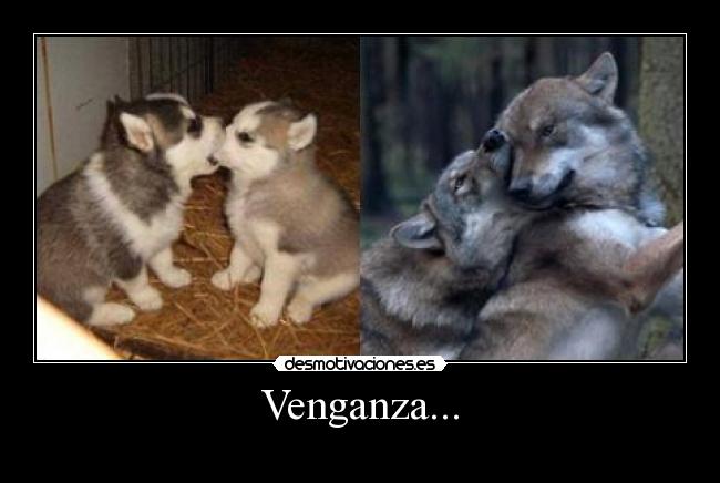Venganza... - 