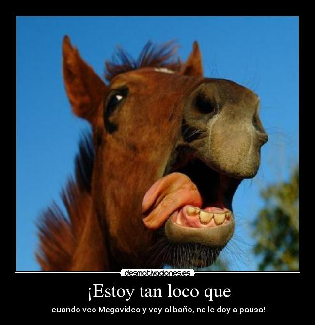 ¡Estoy tan loco que - cuando veo Megavideo y voy al baño, no le doy a pausa!