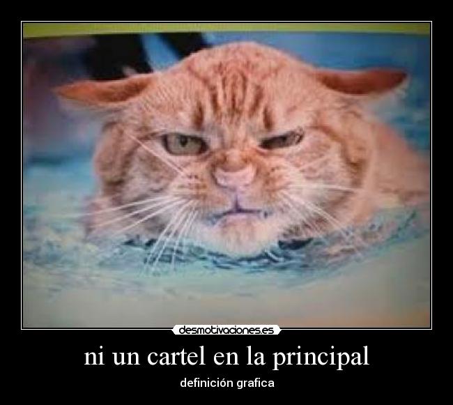 ni un cartel en la principal - definición grafica