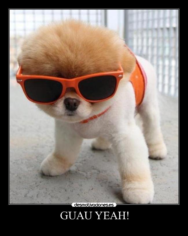 GUAU YEAH! - 
