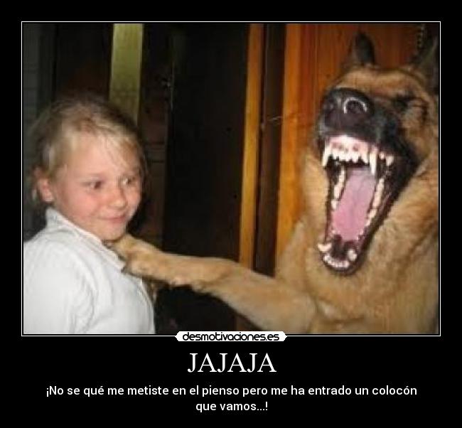 JAJAJA -